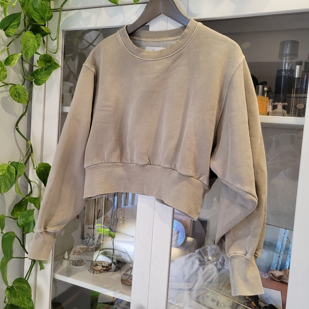 Cropped aritzia sweatshirt